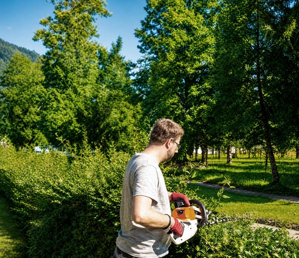 Arbeiter schneidet eine Hecke mit einer Heckenschere